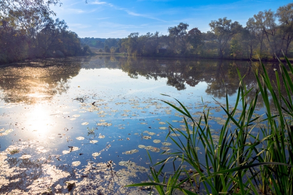 रांची झील - Ranchi Pond