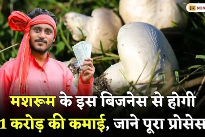 Start Mashroom Business Earn 1 Crore