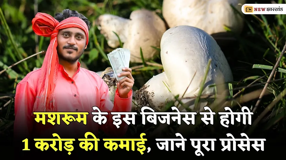 Start Mashroom Business Earn 1 Crore